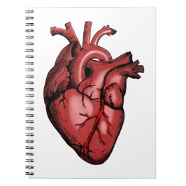 Cuaderno Imagen de corazón anatómico realista