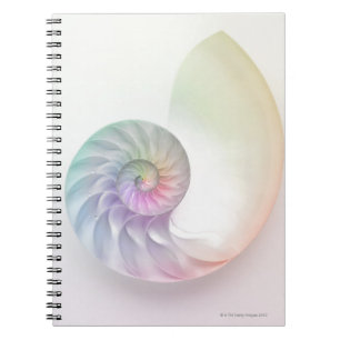 Cuaderno Imagen de nátilus de color artístico