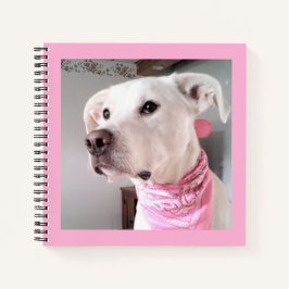 Cuaderno Imagen de perro tímido de cachorro blanco con bufa
