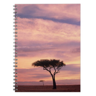 Cuaderno Imagen de silueta de árbol de acacia al amanecer
