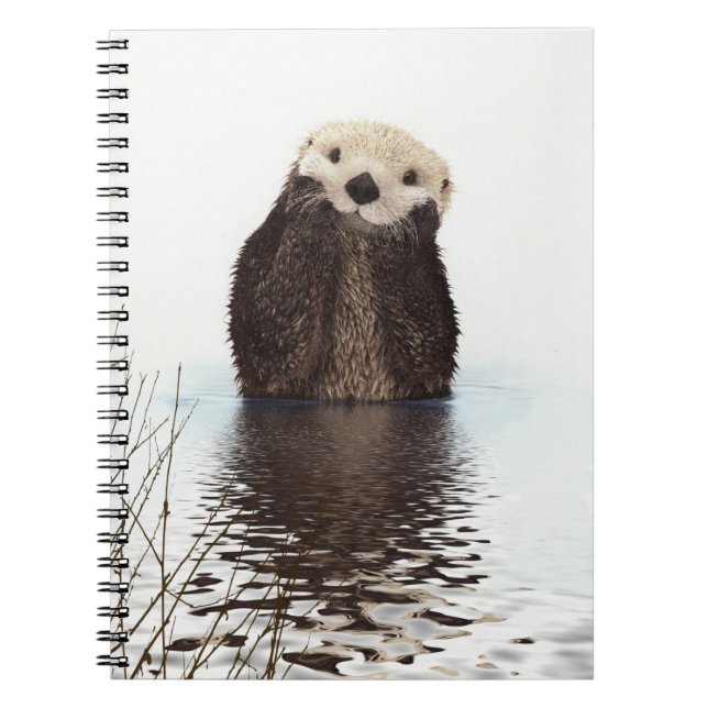 Cuaderno Imagen de vida silvestre Cute Otter (Frente)