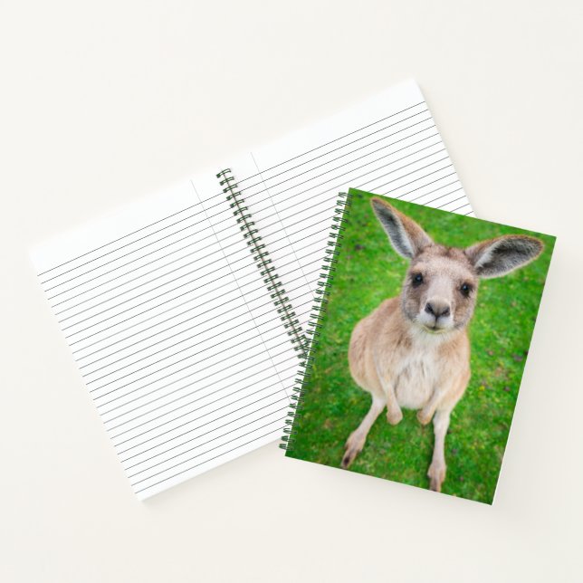 Cuaderno Imágenes de Getty | Baby Kangaroo (Interior)