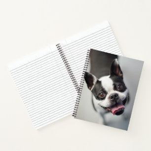 Cuaderno Imágenes de Getty   Bulldog francés