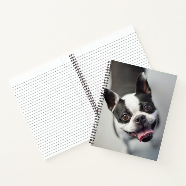 Cuaderno Imágenes de Getty | Bulldog francés (Interior)