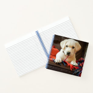 Cuaderno Imágenes de Getty Cachorro En Un Sofá