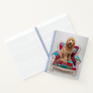 Cuaderno Imágenes de Getty   Cute Goldendoodle