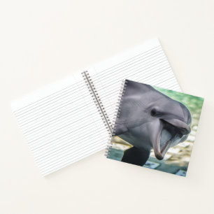 Cuaderno Imágenes de Getty Delfín