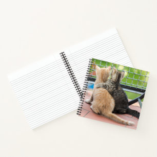 Cuaderno Imágenes de Getty Dos gatitos en un balcón