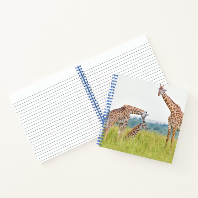 Cuaderno Imágenes de Getty | Familia Giraffe (Interior)