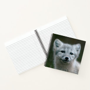 Cuaderno Imágenes de Getty Kit de Fox Ártico