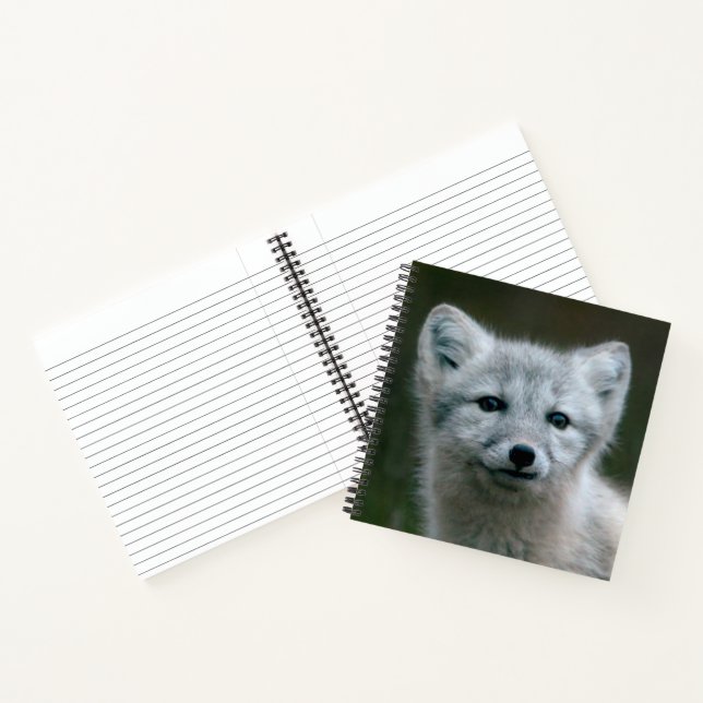 Cuaderno Imágenes de Getty | Kit de Fox Ártico (Interior)