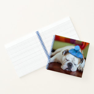 Cuaderno Imágenes de Getty   Mal cachorro joven