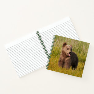 Cuaderno Imágenes de Getty Oso bebé divertido