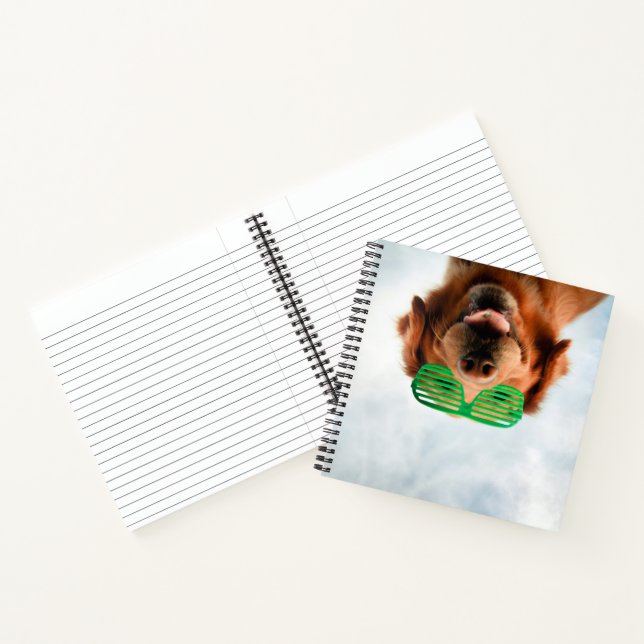 Cuaderno Imágenes de Getty | Perro con gafas (Interior)