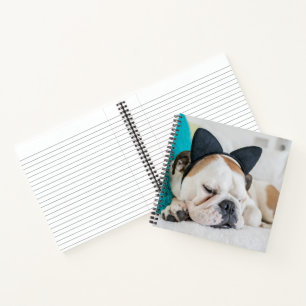 Cuaderno Imágenes de Getty   Perro somnoliento con banda d