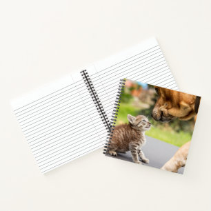 Cuaderno Imágenes de Getty   Perro y gato enamorados