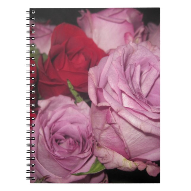 CUADERNO IMG_0032.JPG (Frente)