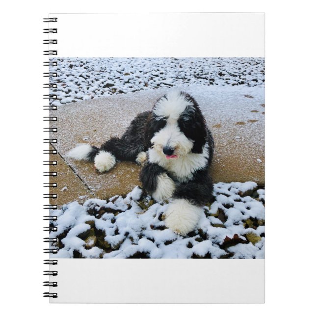 CUADERNO IMG_9916 (Frente)