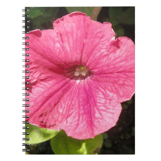 Cuaderno Impatiens Bloc de notas rosa oscuro (Frente)