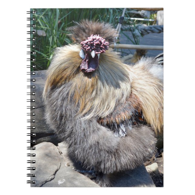 Cuaderno Imperfección De Encanto Fluffy: Un Único Rostro De (Frente)