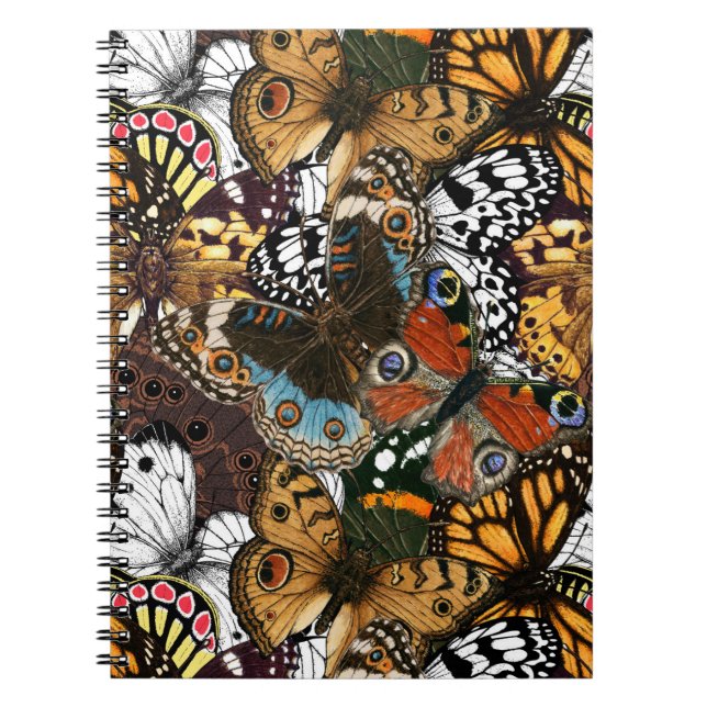 Cuaderno Impresión animal. Las alas de mariposa. (Frente)