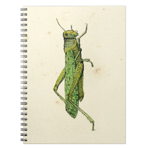 Cuaderno Impresión bordeada del pastor verde