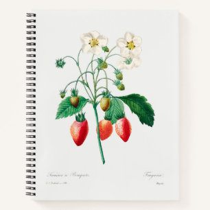 Cuaderno Impresión botánica de fresa