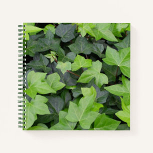 Cuaderno Impresión botánica de marfil verde
