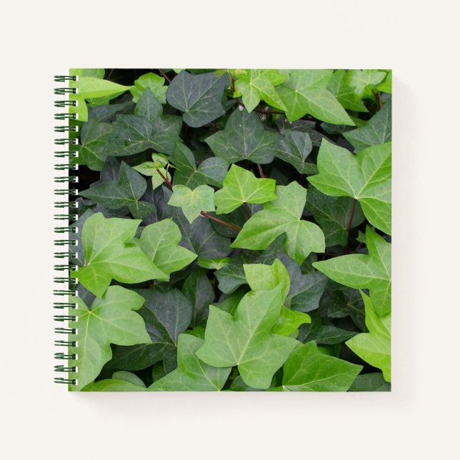 Cuaderno Impresión botánica de marfil verde (Anverso)