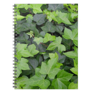 Cuaderno Impresión botánica de marfil verde