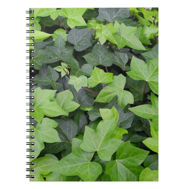 Cuaderno Impresión botánica de marfil verde (Frente)