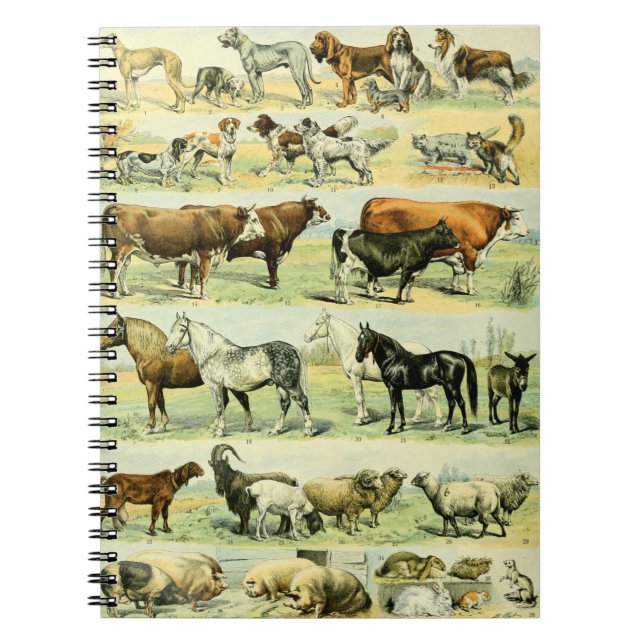 Cuaderno Impresión de animales de granja de cosecha de vint (Frente)