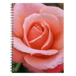 Cuaderno Impresión de arte botánico Rosa romántico