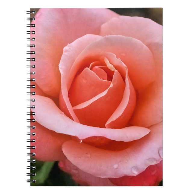 Cuaderno Impresión de arte botánico Rosa romántico (Frente)