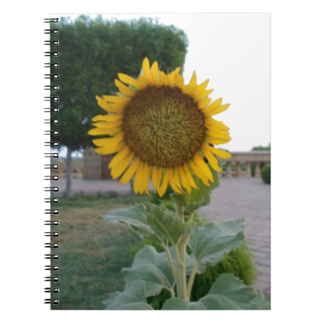 Cuaderno Impresión de arte de girasol (Frente)