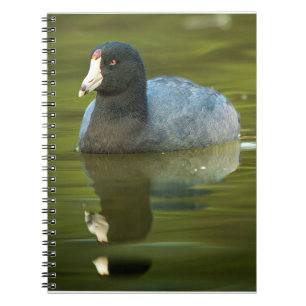 Cuaderno Impresión de arte fotográfico de aves silvestres A