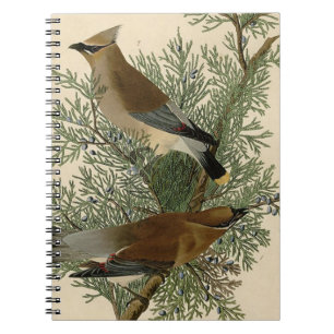 Cuaderno Impresión de ave de John James Audubon Cedar Waxwi
