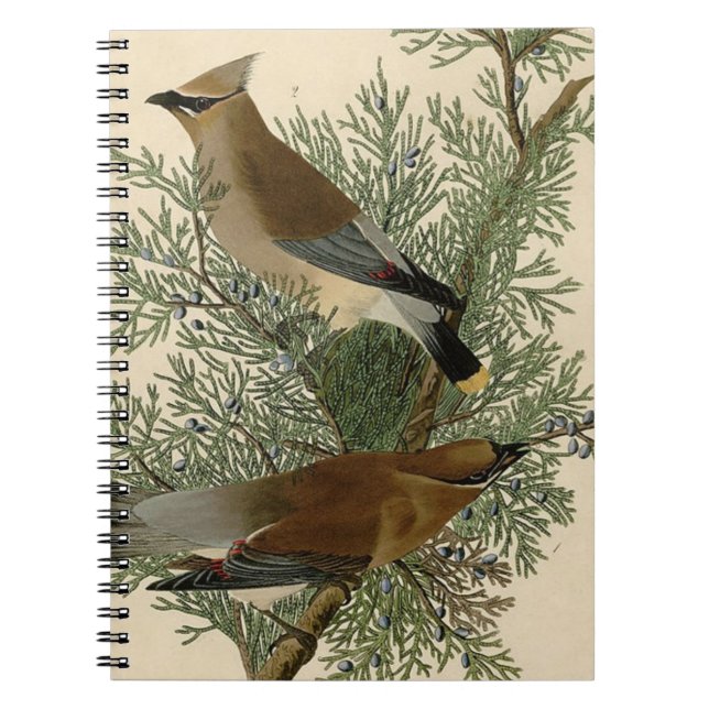 Cuaderno Impresión de ave de John James Audubon Cedar Waxwi (Frente)