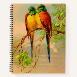 Cuaderno impresión de aves hermosas