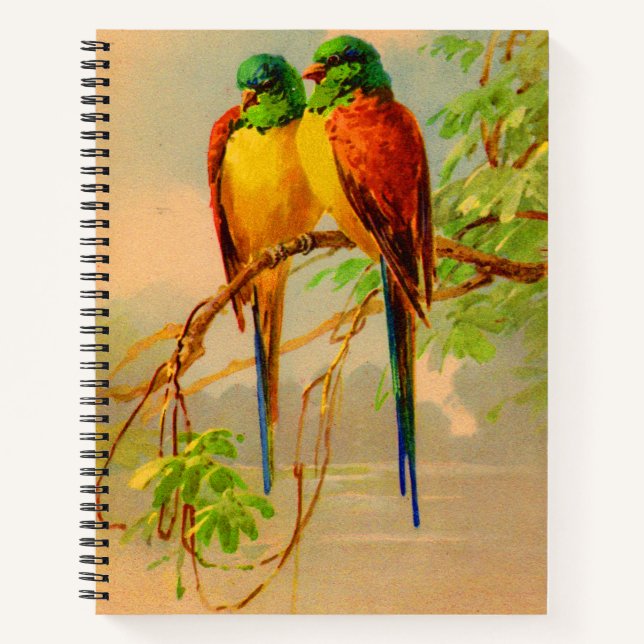 Cuaderno impresión de aves hermosas (Anverso)
