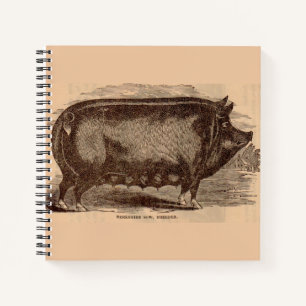 Cuaderno Impresión de cerdos del siglo XIX Berkshire sow no