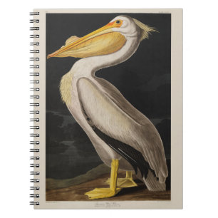 Cuaderno Impresión de cosecha de pájaros pelícanos blancos