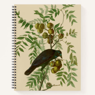 Cuaderno Impresión de pájaro Grackle púrpura de Audubon Vin