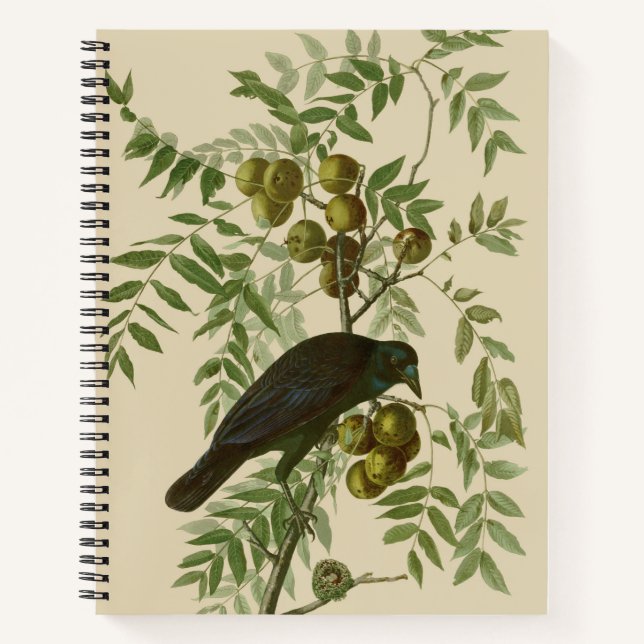 Cuaderno Impresión de pájaro Grackle púrpura de Audubon Vin (Anverso)
