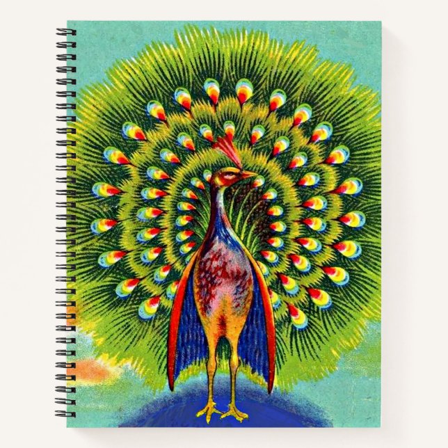 Cuaderno impresión de pavo real divertida (Anverso)