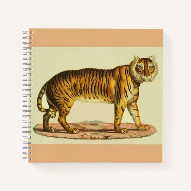 Cuaderno Impresión de tigre de 1824 (Anverso)