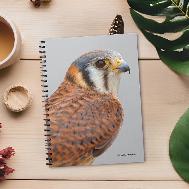 Cuaderno Impresionante Cernícalo De Cernícalo De Sparrowhaw (Stunning Closeup of an American Kestrel Journal Cover Photo)