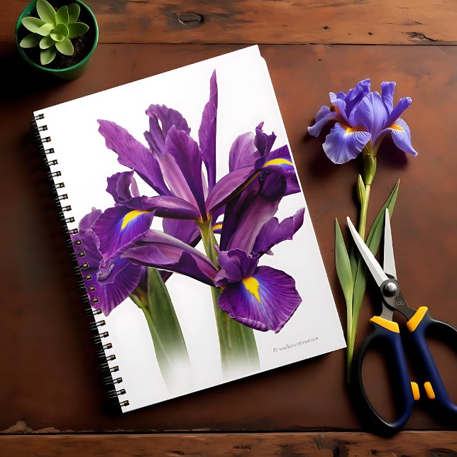 Cuaderno Impresionante flor de sensación púrpura Iris holan (Stunning Dutch Iris Purple Sensation Journal Cover Photo)