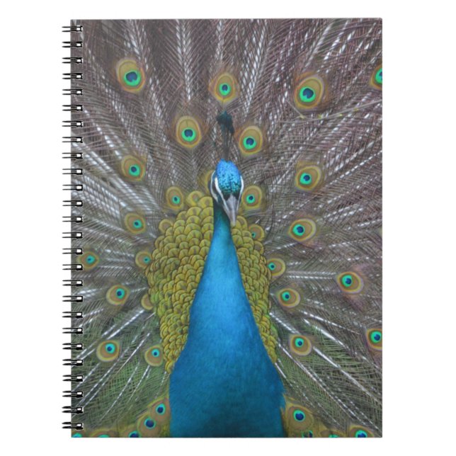Cuaderno Impresionante pavo real (Frente)