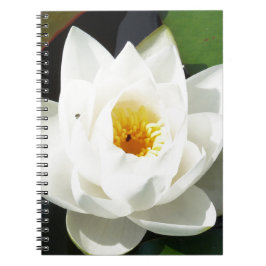 Cuaderno Impresionante Waterlily Con Centro De Oro